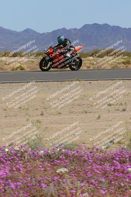 media/Mar-12-2023-SoCal Trackdays (Sun) [[d4c8249724]]/Turn 15 Inside Bloom (130pm)/